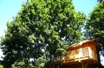 Arlena di castro casa sull'albero