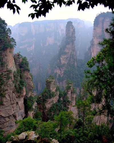 Risultati immagini per foresta di Zhangjiajie, nella provincia cinese dello Hunan.