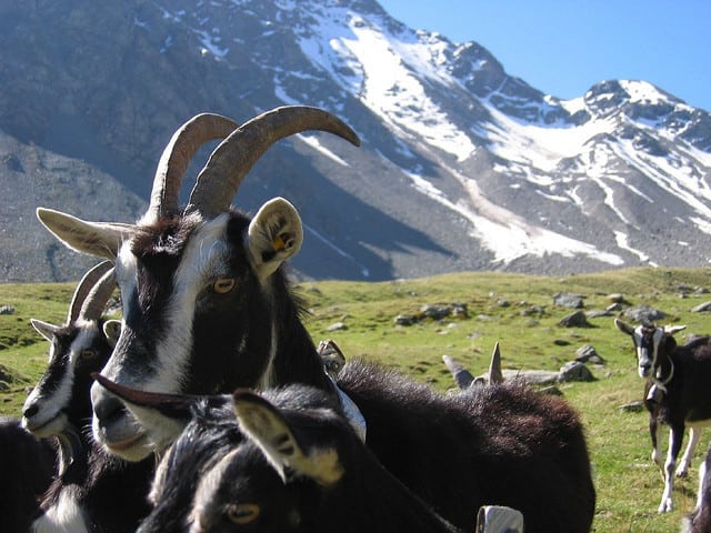 Val Zebrù Val Zebrù
