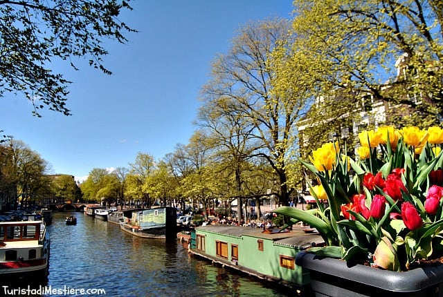 La Primavera è nell'aria ad Amsterdam 