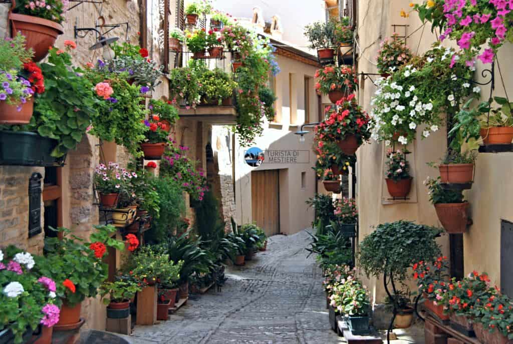 Balconi-fioriti-spello