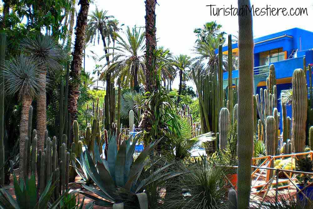 Giardini-Majorelle-Marrakech Giardini-Majorelle-Marrakech