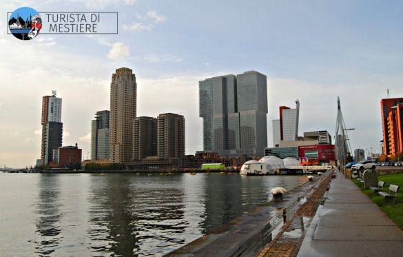 Skyline Rotterdam grattacieli