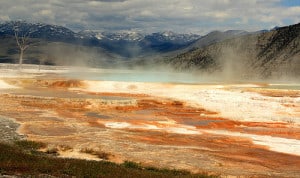 Canary Springs, nell'area delle Mammoth Hot Springs