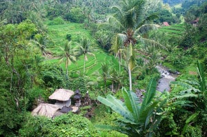 Bali