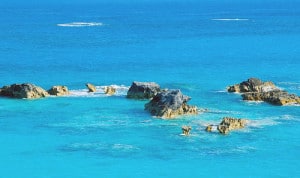 mare