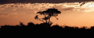 Botswana chic