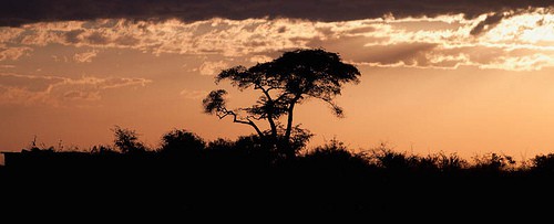 Chobe National Park Botswana