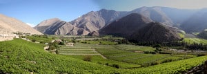 Valle de Elqui Valle de Elqui