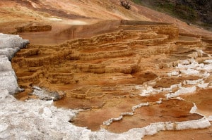 Canary Springs, nell'area delle Mammoth Hot Springs