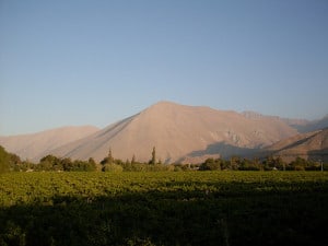 Vicuña, Valle de Elqui Vicuña, Valle de Elqui