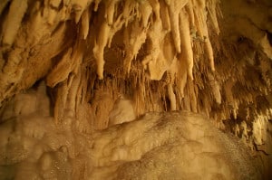 Waitomo Caves