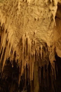 Waitomo Caves