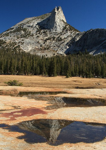 Yosemite National Park