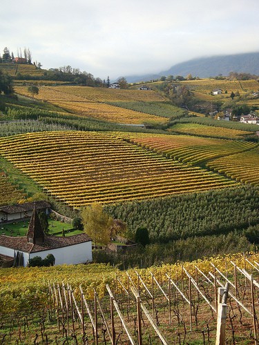 appiano strada del vino alto adige