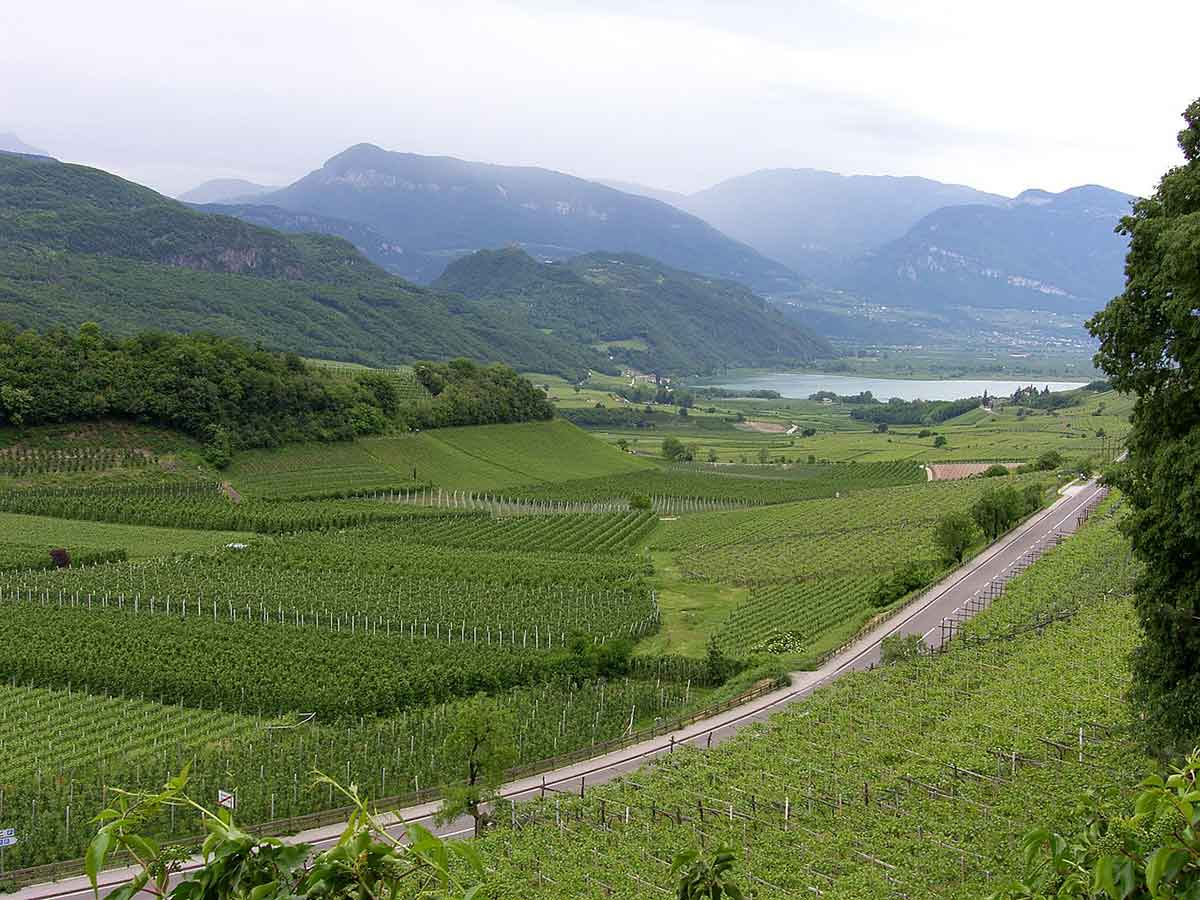 strada del vino alto adige
