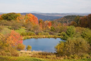 Vermont
