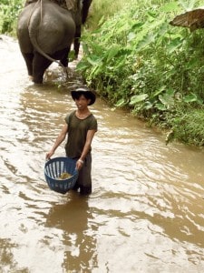 Chiang Mai