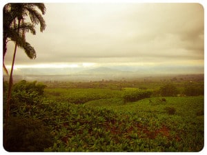 panorama