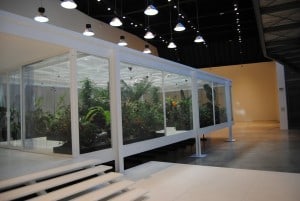 Museo MACRO Roma