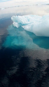 Antartico