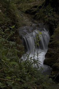 Parco Aspromonte