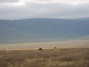 Cratere di Ngorongoro