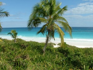 Pink Sand Beach Harbour Islands