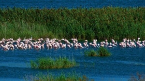 Panorama dal Treno superlusso per il Sudafrica