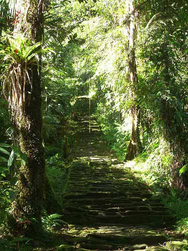 rovine della Ciudad Perdida in Colombia