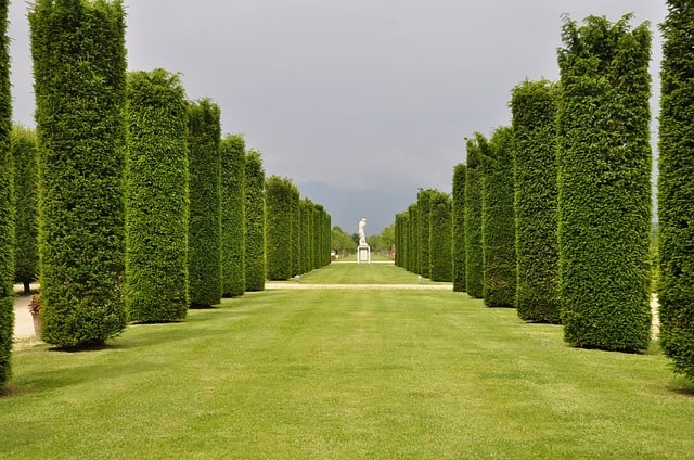 giardini-reggia-di-venaria-reale