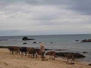 Phu Quoc in Vietnam