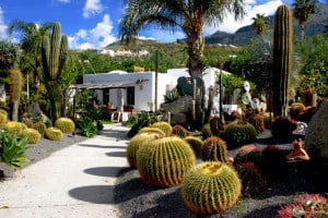 Giardini Ravino Ischia