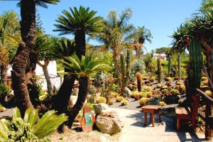 Ischia