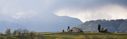 Valdobbiadene