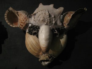 Pascal-Désir Maisonneuve, Maschera di conchiglie