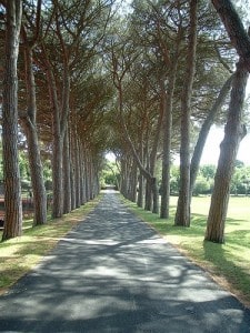 Croazia coste