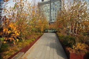 High Line Park