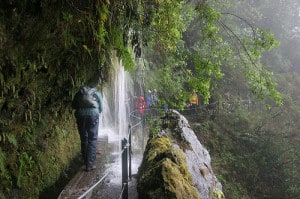 Madeira