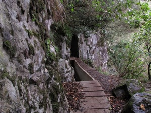 Madeira