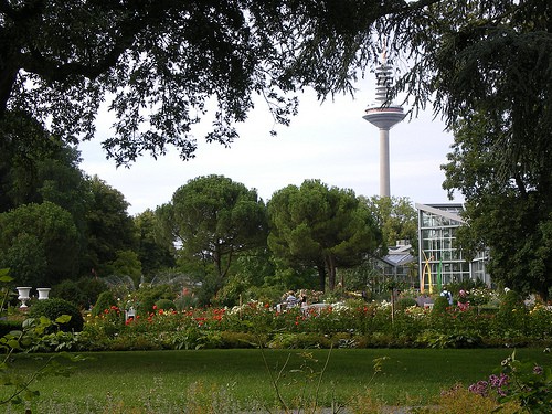 Giardino delle Palme a Francoforte