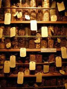 Museo della Stregoneria