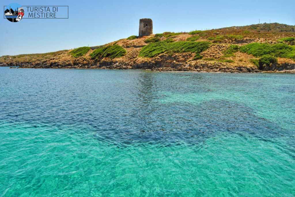 cala-oliva-asinara