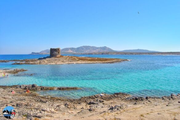 la torre pelosa stintino