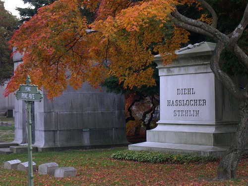 wOODLAWN