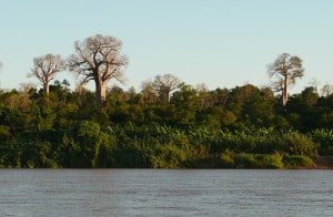 fiume madagascar tsiribihina