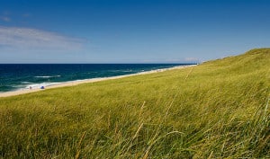 Sylt