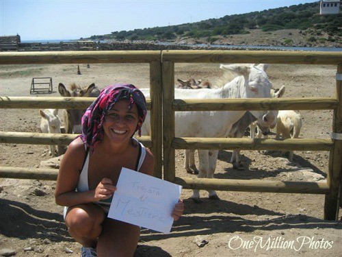 One-Million-Photos_100_Asinara One Million Photos