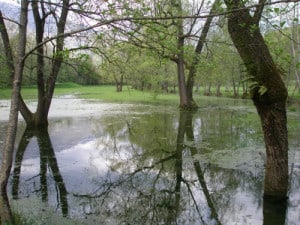 Palù di Livenza