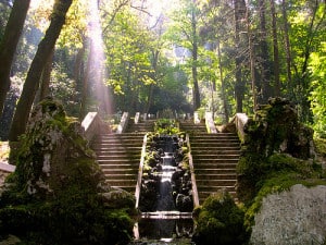 Foresta di Bussaco 